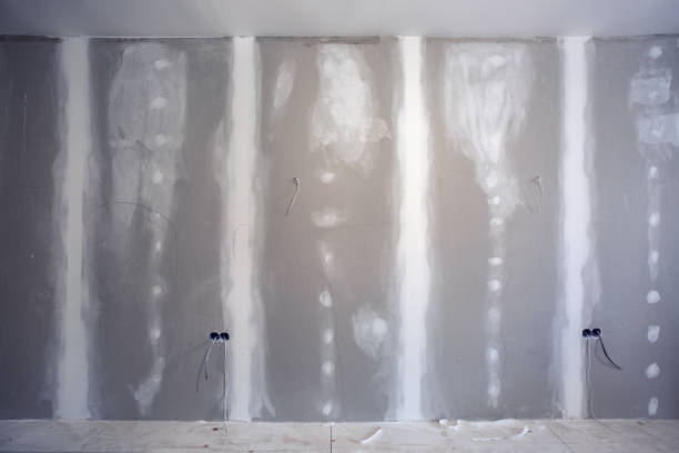 Best Residential Mold Inspection & Testing  in USA